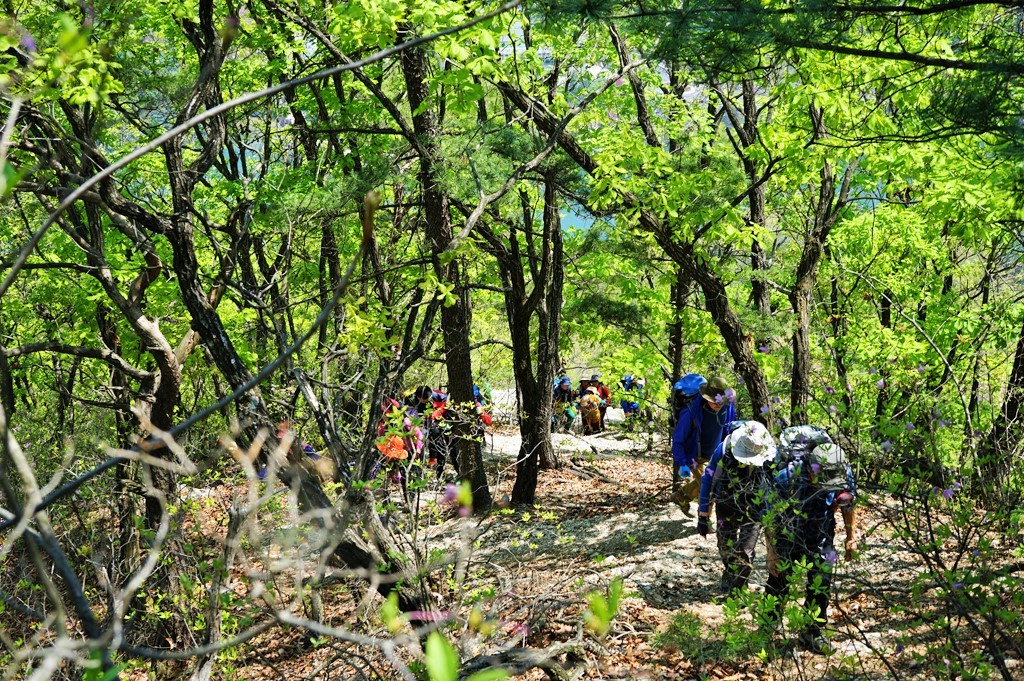 산길 이미지