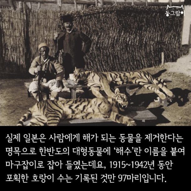 일제 강점기 멸종된 한반도의 동물들 | 인스티즈