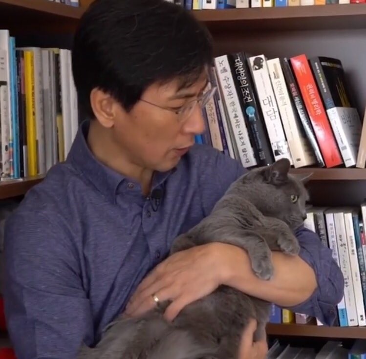 냥집사들 🐱 (사진 엄청많음 주의) | 인스티즈