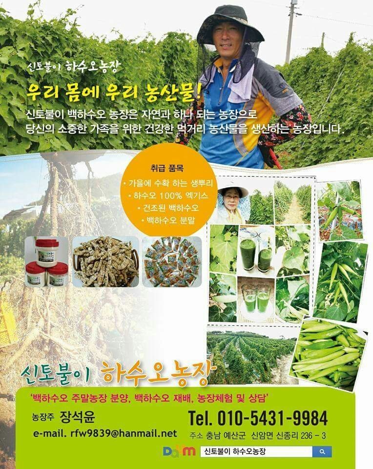 신토불이 이미지