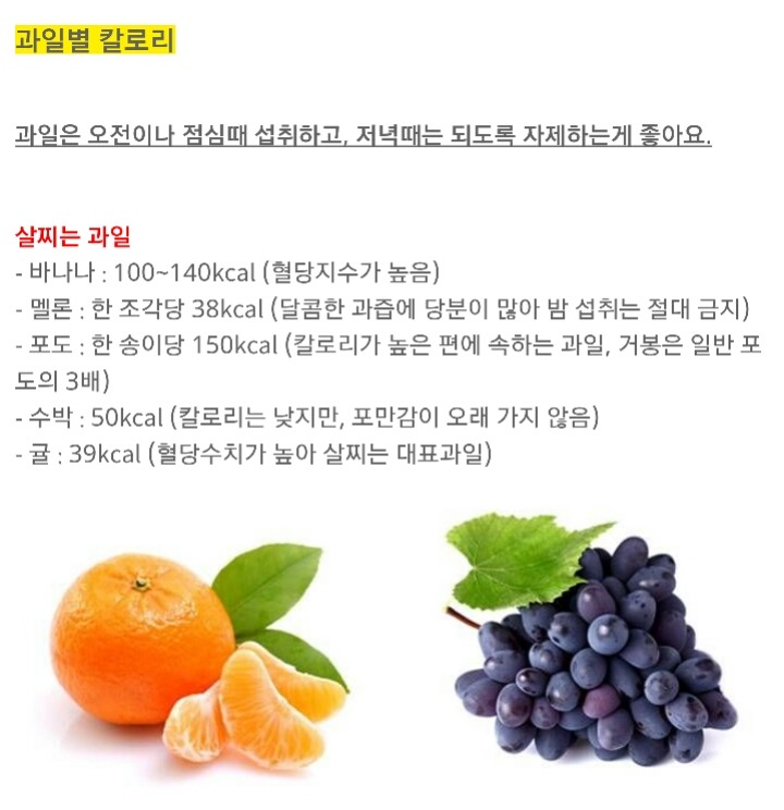 [다이어트칼럼] 과일 다이어트, 이것만은 반드시 알고 하자 (살찌는 과일과 다이어트에 좋은 과일) | 인스티즈