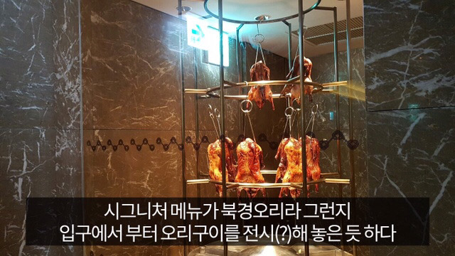 유머저장소 광화문 갔다온글 | 인스티즈