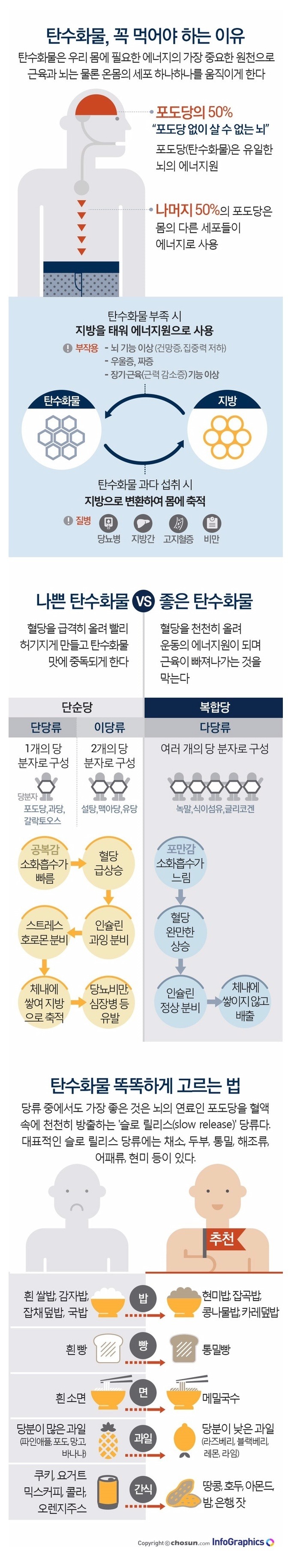탄수화물, 꼭 먹어야 하는 이유 | 인스티즈