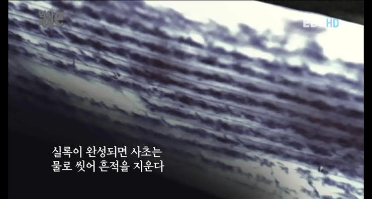 조선시대 사관의 무덤에서 나온 종이에 새겨진 한마디.jpg | 인스티즈