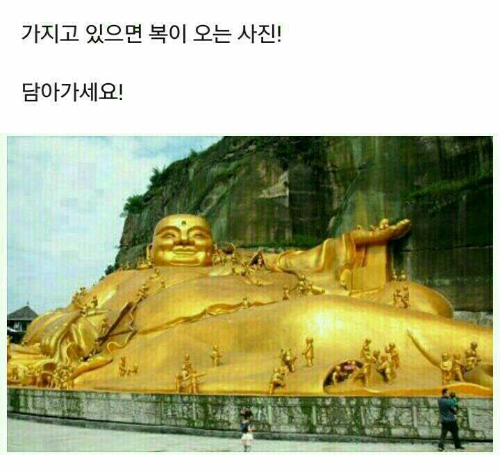 황금물결 이미지