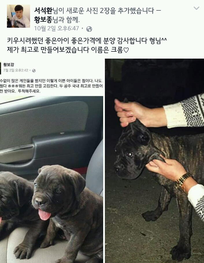 강아지한테 살아있는 오리 억지로 생식시키는 미(혐오주의) | 인스티즈
