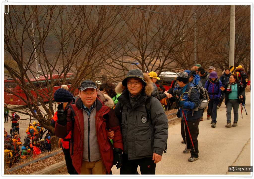 백화산양산삼조합 이미지