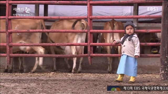 다큐 세계의 눈 - 의학 혁명 알레르기 | 인스티즈