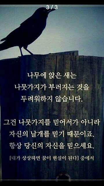 무제 이미지