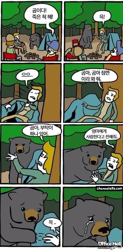 산에서 곰을 만나면 꿀팁 | 인스티즈