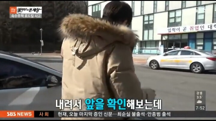 기적적인 강아지 로드킬 | 인스티즈