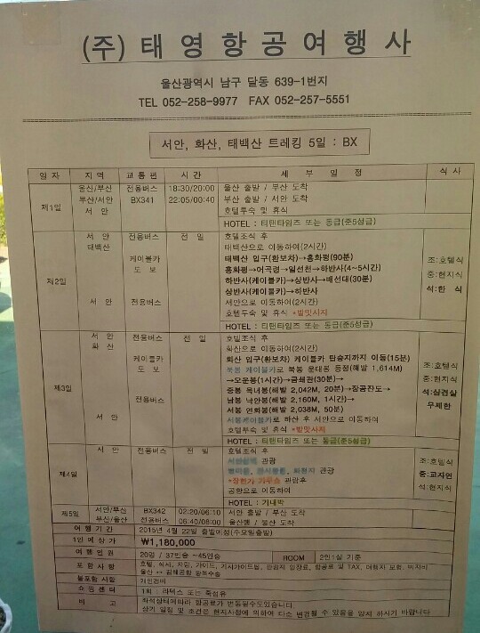 (주)태영항공여행사 이미지
