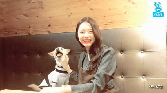 오늘자 소혜 브이앱 움짤.gif (데이터주의) | 인스티즈