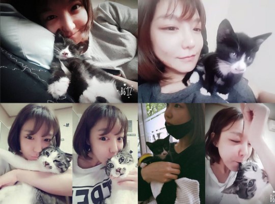 반려동물 사지 않고 입양한 연예인들.jpg | 인스티즈