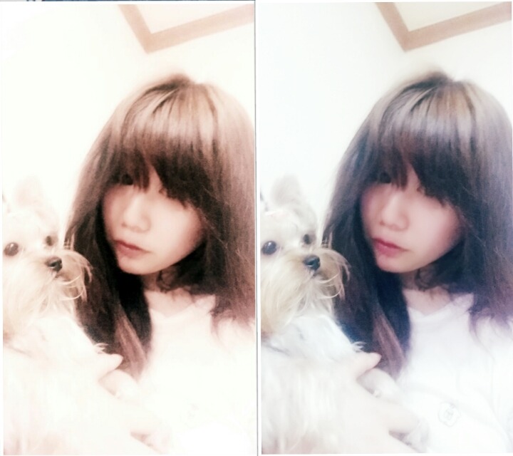 도담이 이미지