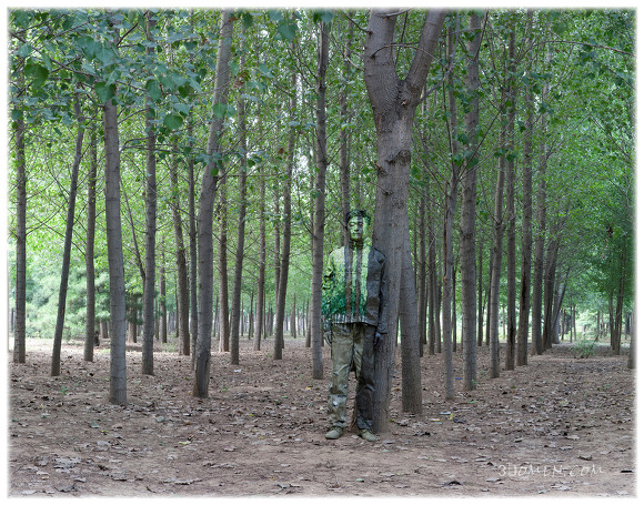 대륙의 투명인간 | 인스티즈