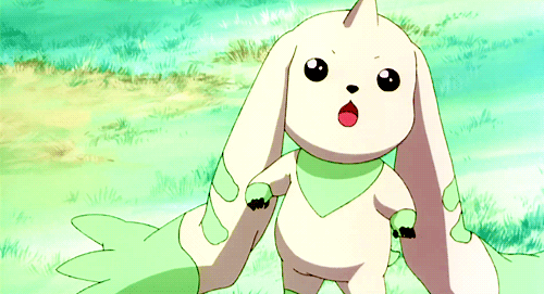 짤로도 많이 쓰이는 디지몬 테이머즈의 귀요미 '테리어몬' (움짤多/ | 인스티즈