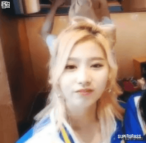 던킨 트와이스.gif | 인스티즈