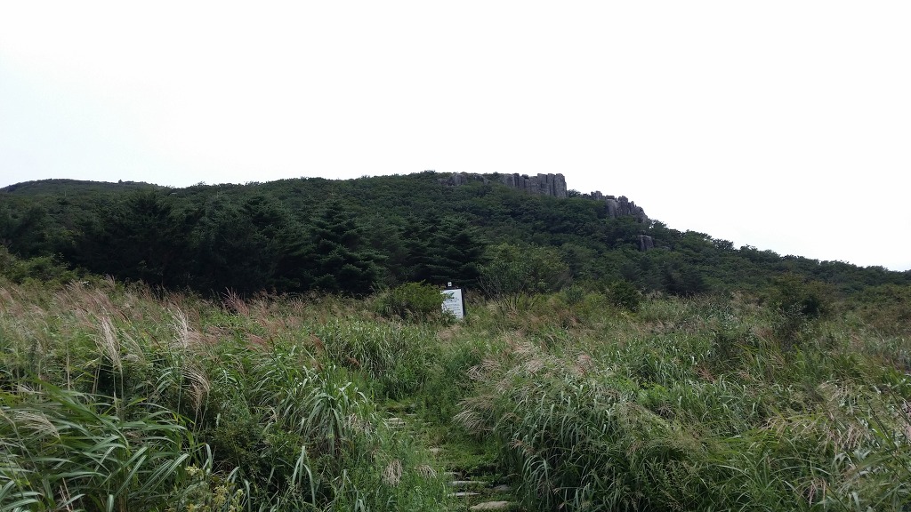 246E144D5406A2CD1140E9