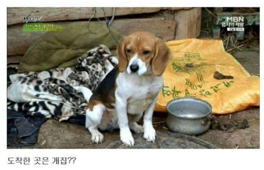 충격과 공포의 민간요법 | 인스티즈