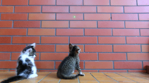 껴안고 난리남﻿﻿.gif | 인스티즈