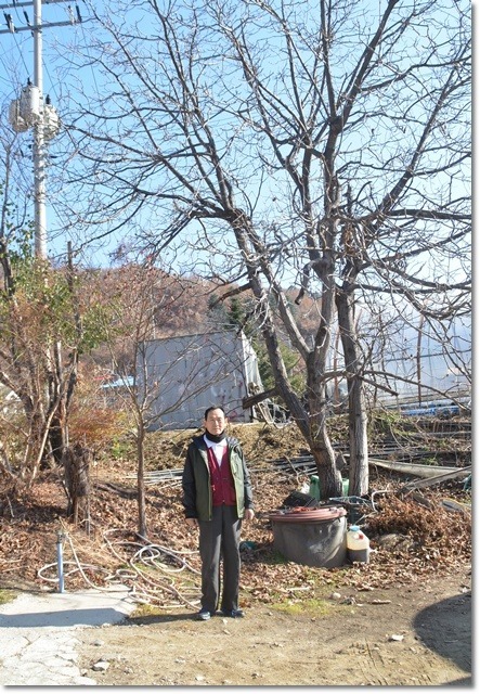 호두나무집 이미지