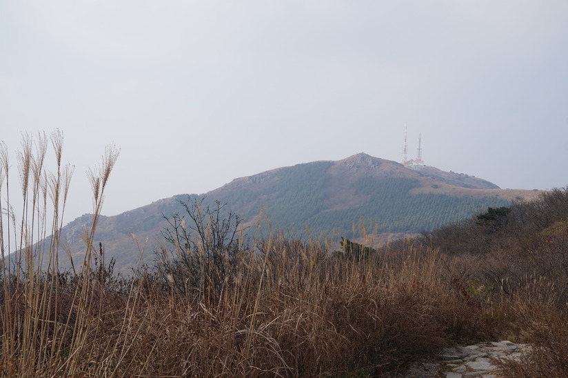 알파광주 이미지