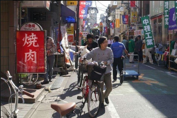 헤어진 남자친구가 개로 환생했다.. | 인스티즈