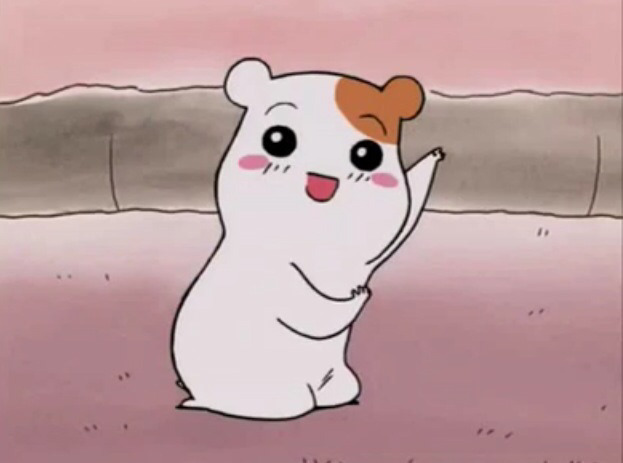 츄츄다 이미지