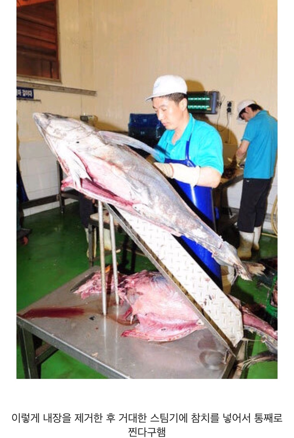 참치캔이 만들어지는 과정 | 인스티즈