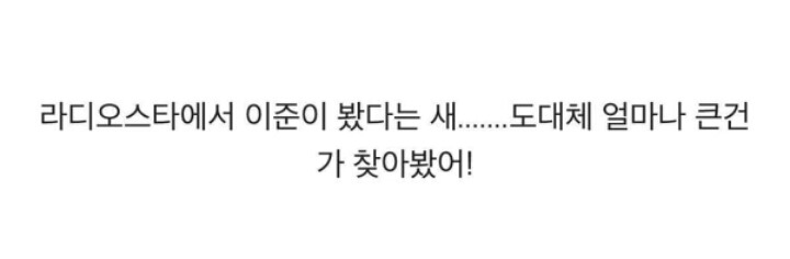 사람도 잡아먹을 수 있을것같은 새 | 인스티즈