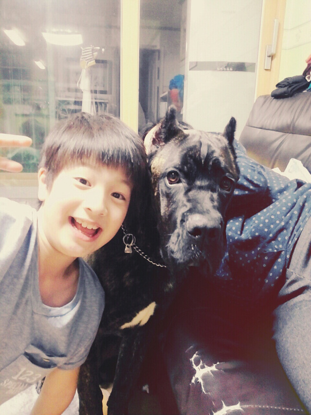 잔트가르 이미지