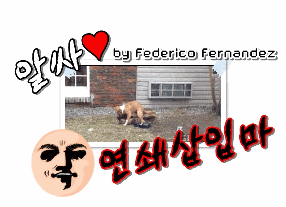 묘한 느낌의 영화 한장면 모음 9탄.gif | 인스티즈