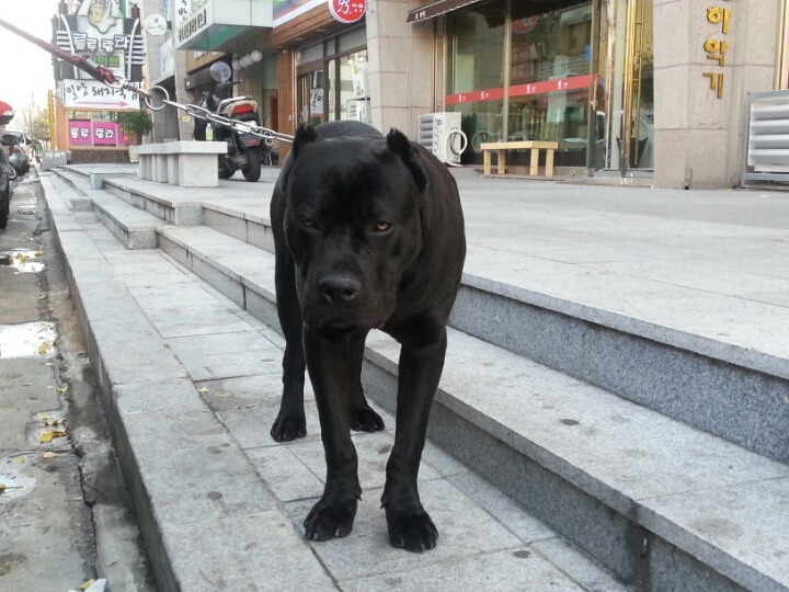 창원사 이미지