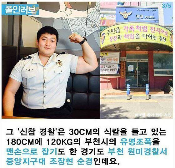 나갈래 이미지