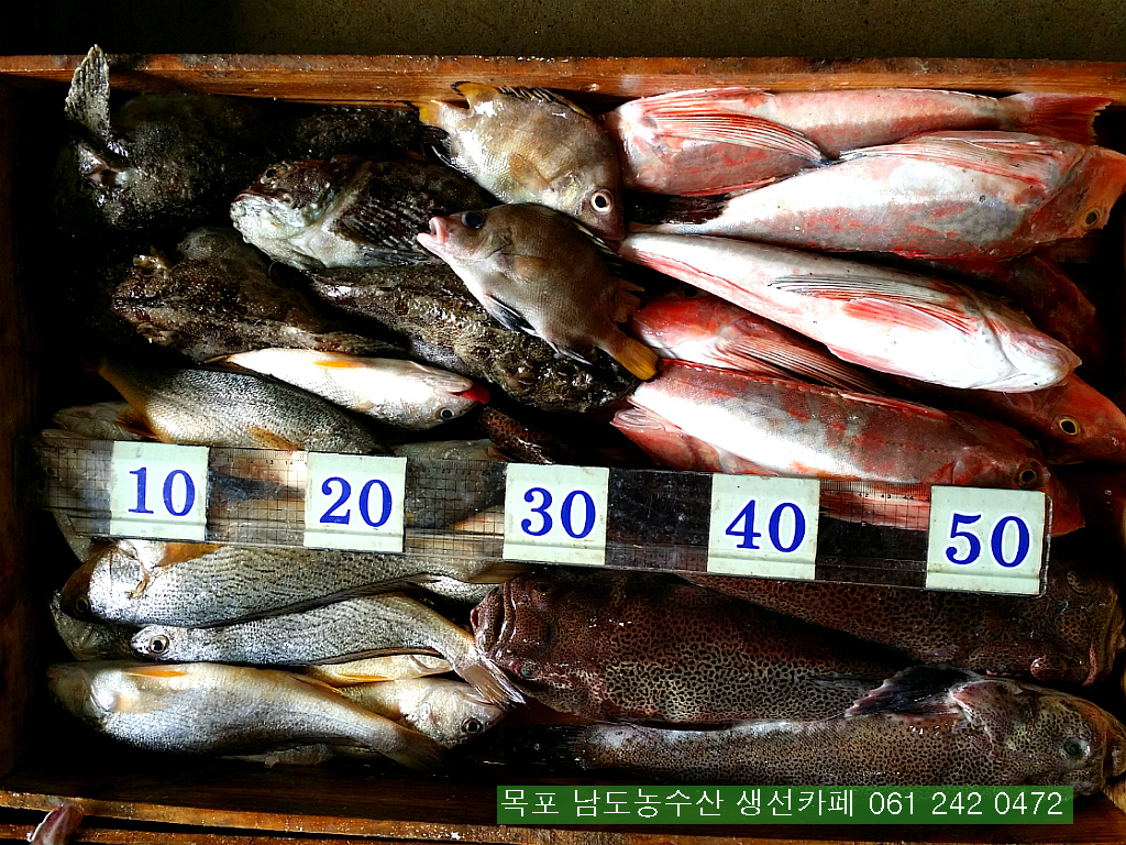 보교기획 이미지