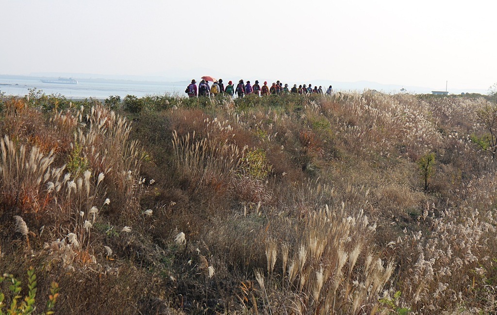 모도 이미지