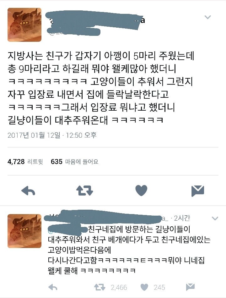 고양이 입장료 | 인스티즈