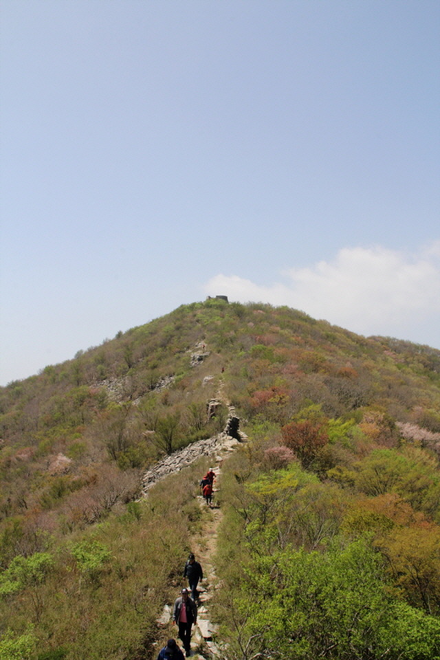 금도 이미지