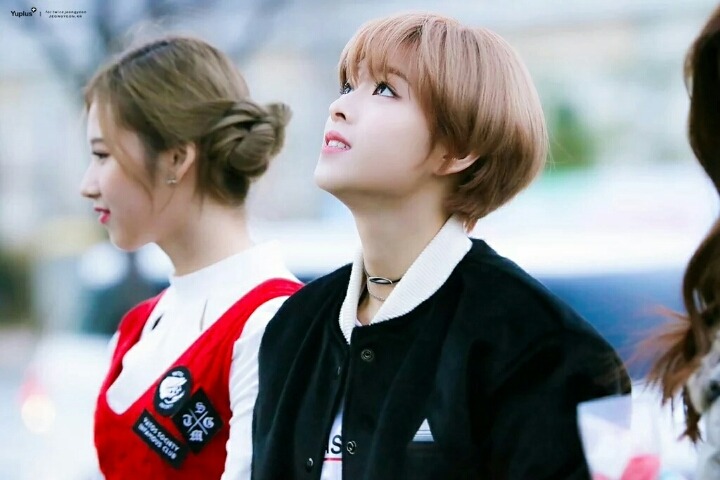 트와이스 사나랑 정연이 | 인스티즈