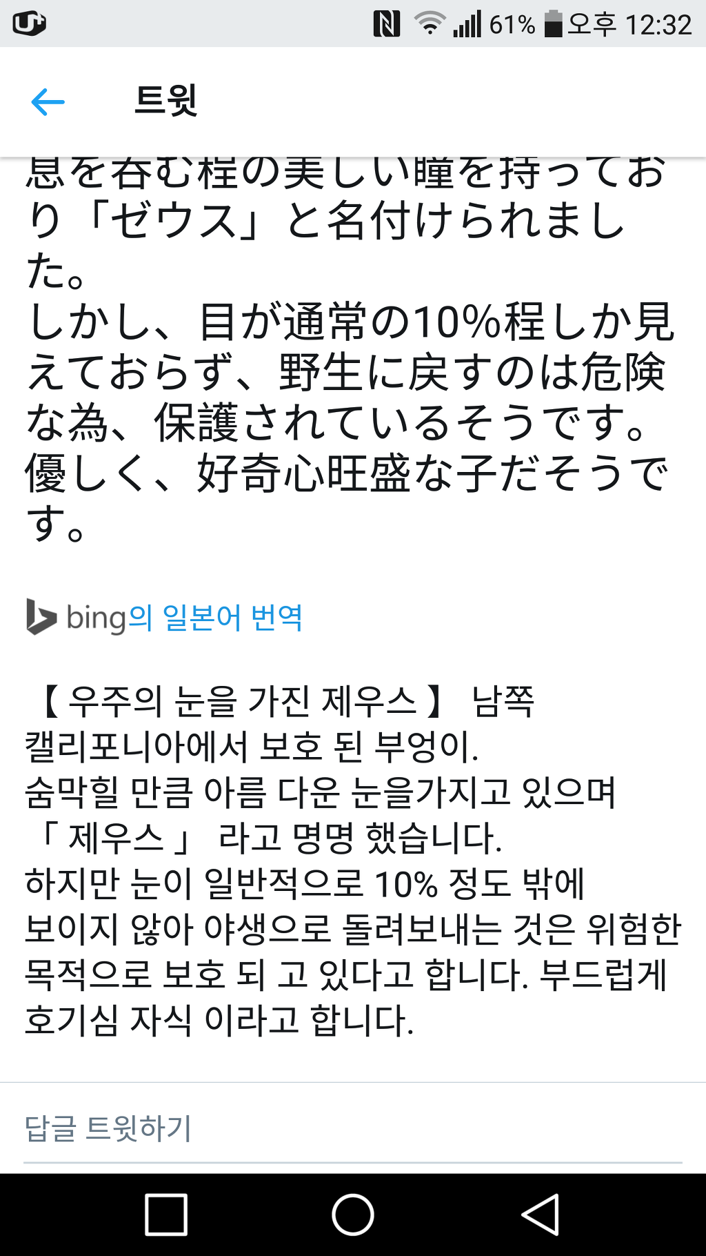 은하수 눈을가진 부엉이 | 인스티즈