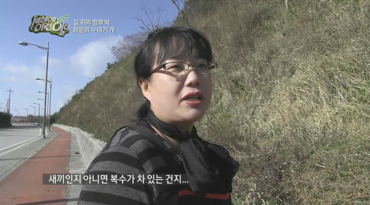 [세상에이런일이] 도로위에 망부석이 되서 주인을 기다리는 강아지.jpg | 인스티즈