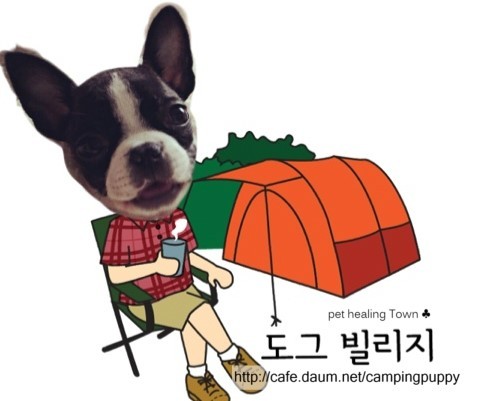 도그빌리지 이미지