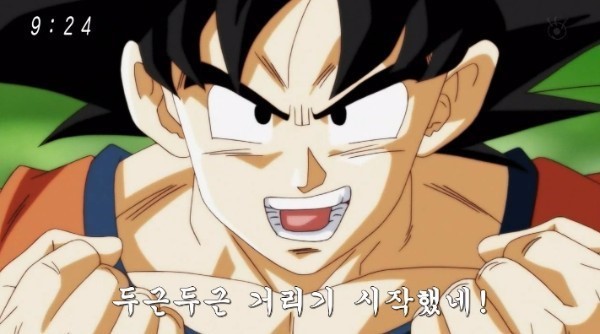 시공화 이미지