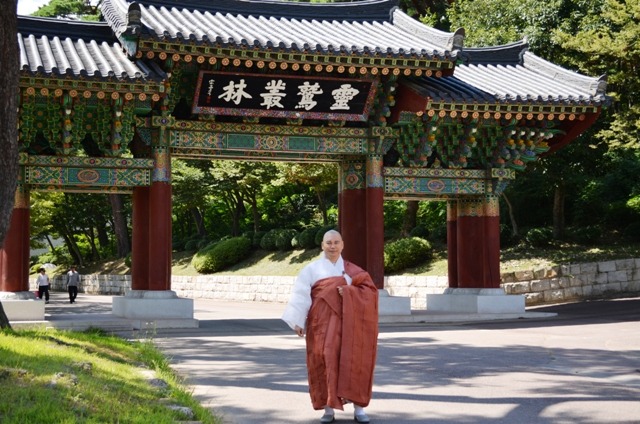 결 이미지