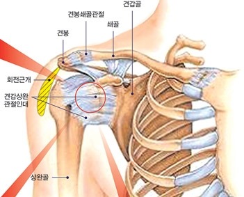 날깨 이미지