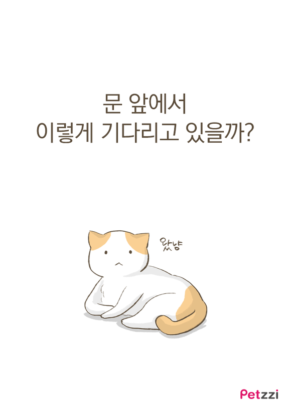 고양이가 화장실 앞에서 기다리고 있는 이유? (만화) | 인스티즈