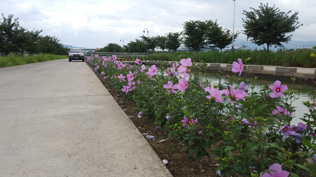 260C0048560606D92D3FC5