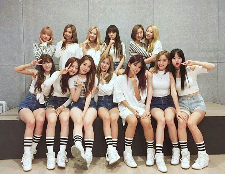 우프 이미지