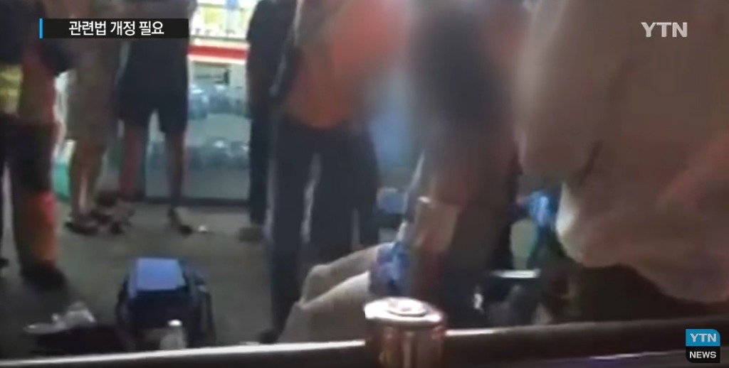퓨마도 잡는다는 개가 거리 활보?...법 개정 필요 | 인스티즈